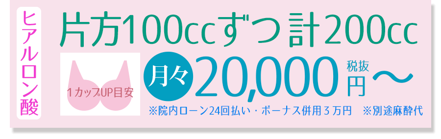 ヒアルロン酸200cc月々20,000円～税抜