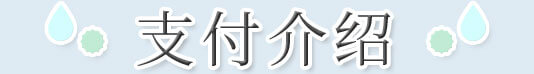 关于支付的介绍