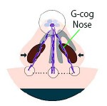 G-cog nose Gコグノーズ