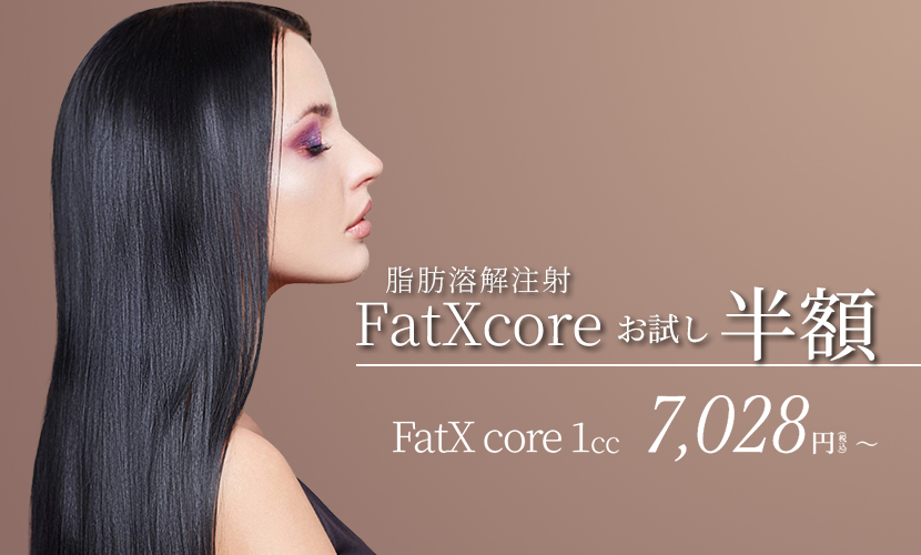 脂肪溶解注射FatXcore お試し半額